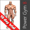 Power Gym 8